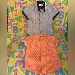 Pink Flamingos 🦩 & Tropical Island 🏝️ 🍉 🍦 🍍 🕶️ Button Down Shirts